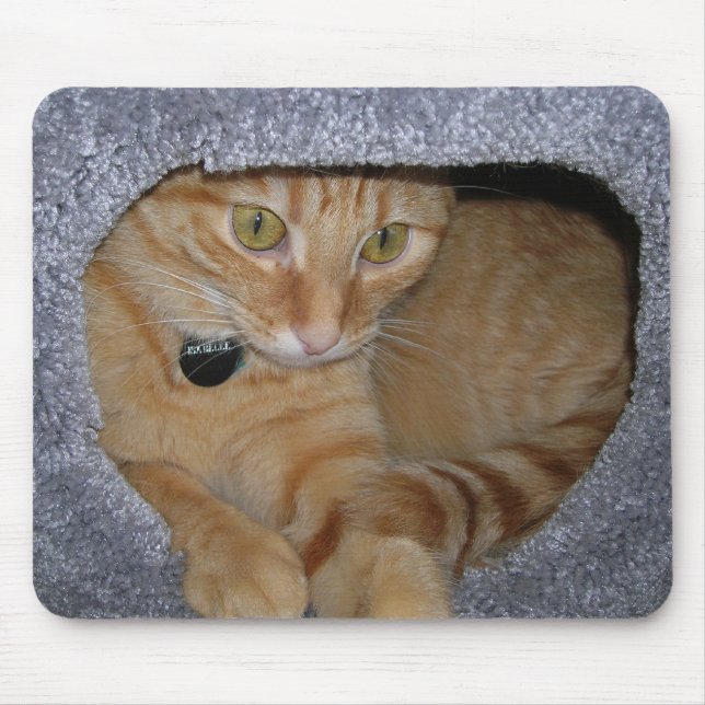 Isabelle Musmatta (Framsidan)