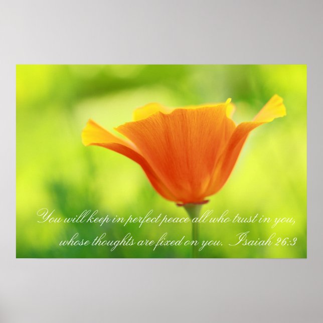 Isaiah 26:3, Orange poppy Poster (Framsidan)