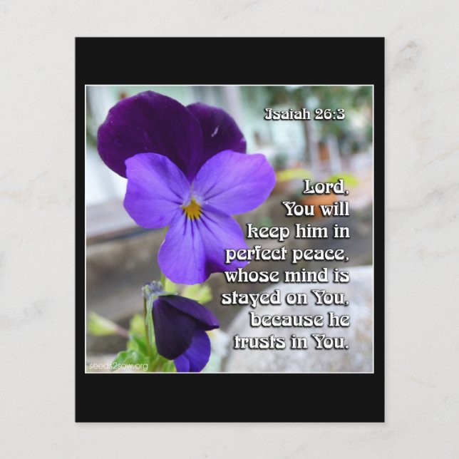 Isaiah 26v3 - Perfekt Peace - Flower Flygblad (Framsidan)