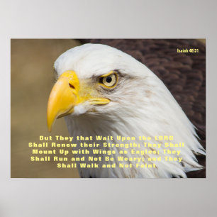 Isaiah 40:31 Bible Verse Mount på Vinge Poster