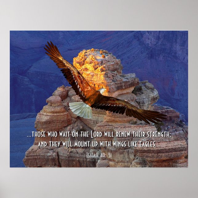 Isaiah 40: 31 Eagle Scripture Poster Print (Framsidan)