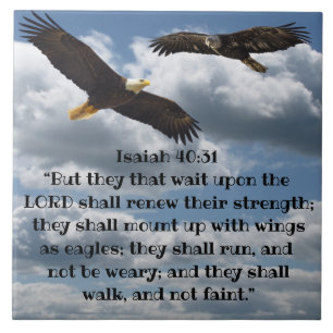 ISAIAH 40:31 KAKELPLATTA