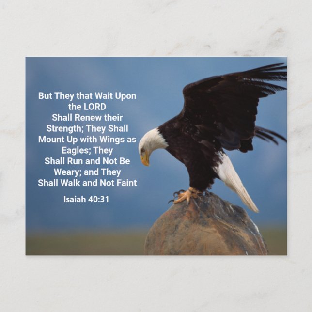 Isaiah 40:31 Montering på Eagle Vingar Postcard Vykort (Framsida)