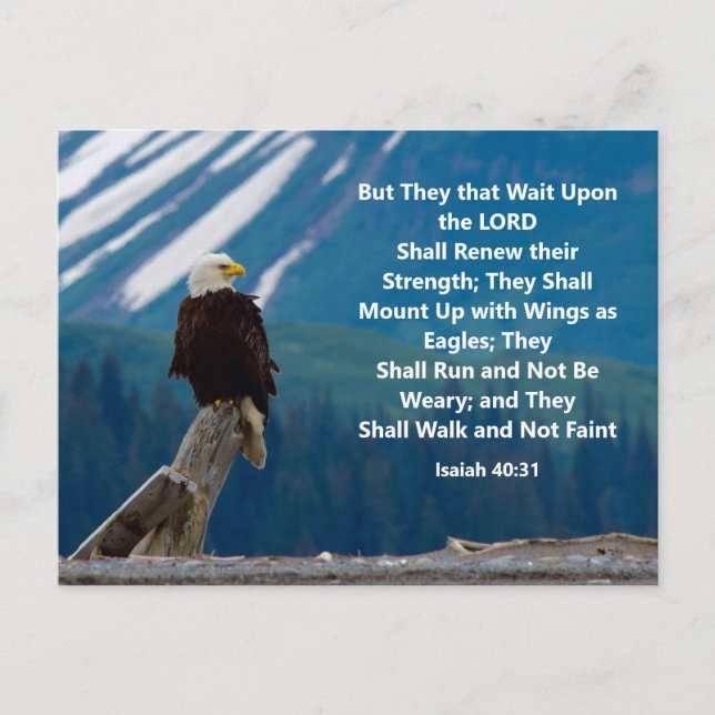 Isaiah 40:31 Montering på Eagle Vingar Postcard Vykort (Framsida)