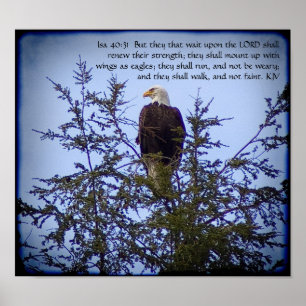 Isaiah 40:31 poster