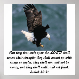 Isaiah 40:31 poster