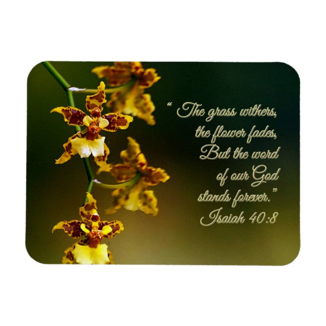 Isaiah 40:8, inspirationsplan magnet (Horisontell)