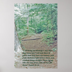 Isaiah 42:16 Wilderness väg Poster
