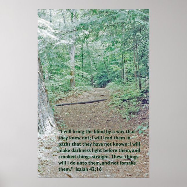 Isaiah 42:16 Wilderness väg Poster (Framsidan)