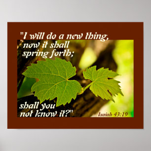 Isaiah 43:19 Bible Verse, jag ska göra ett nytt sa Poster