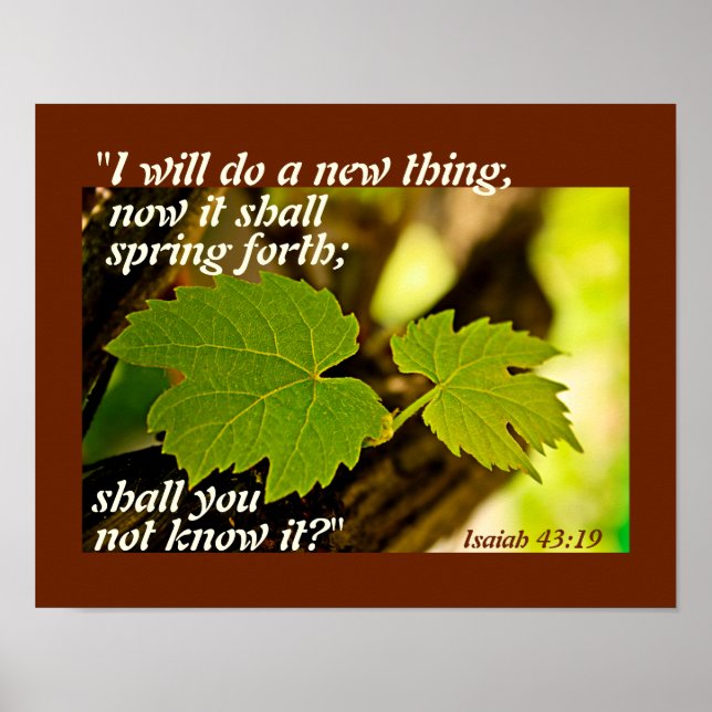 Isaiah 43:19 Bible Verse, jag ska göra ett nytt sa Poster (Framsidan)