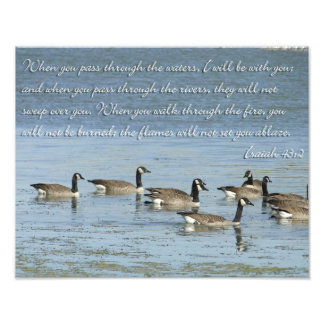 Isaiah 43:2 Bible Verse med Swimming Geese Fototryck