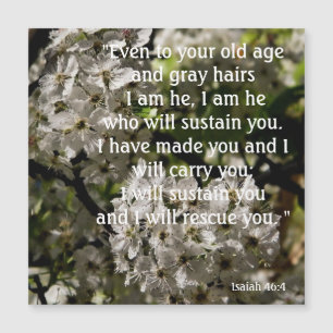 Isaiah 46:4