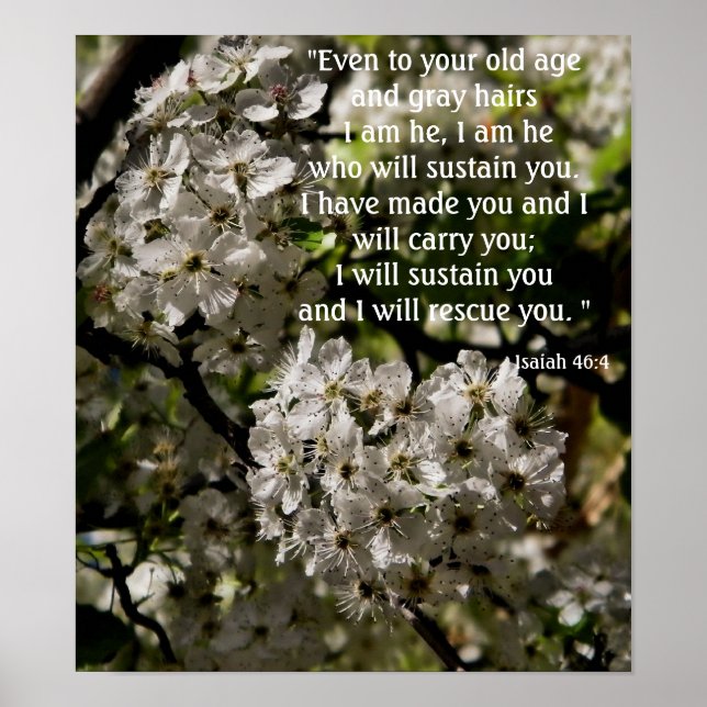 Isaiah 46:4 poster (Framsidan)