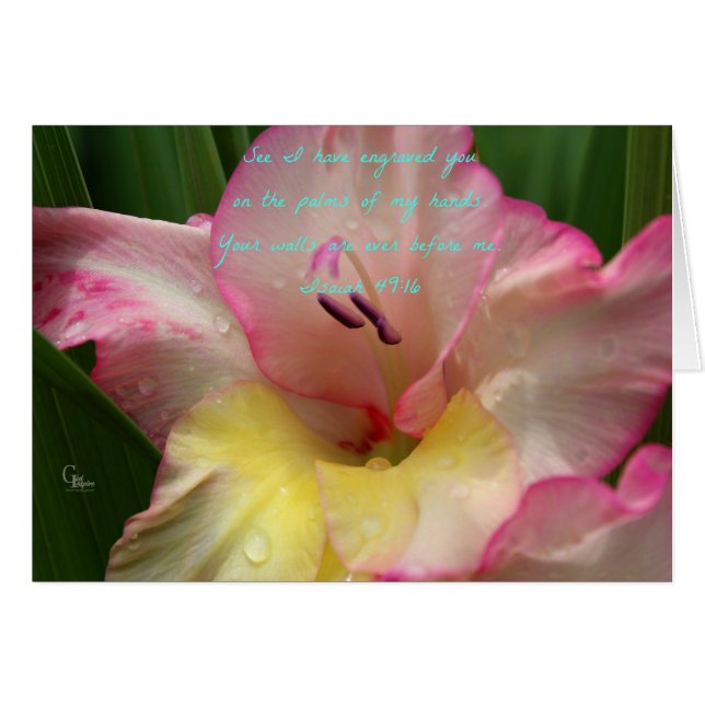 Isaiah 49:16 Rosa RainDrop Gladiolus Card Hälsningskort (Framsidan Horizontal)