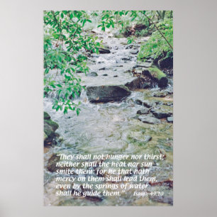 Isaiah 49 poster
