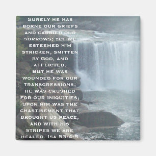 Isaiah 53-samling magnet