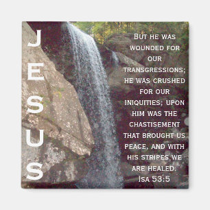 Isaiah 53-samling magnet