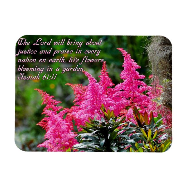 Isaiah 61:11 Rosa Blommigt inspiration Magnet (Horisontell)