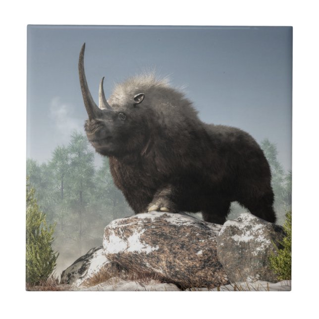 Isåldertuff Kakelplatta (Framsidan)