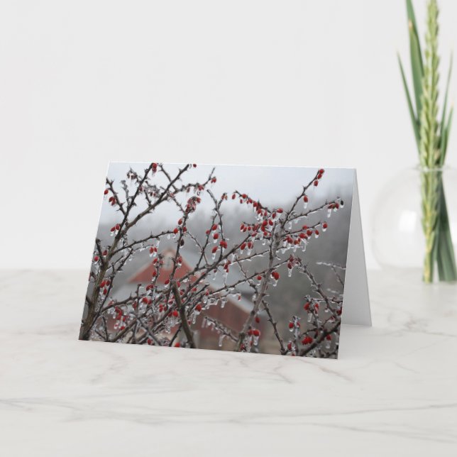 Isbär Kort (Framsida)