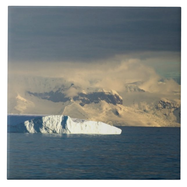 Isberg i början av Drake Passage strax Kakelplatta (Framsidan)