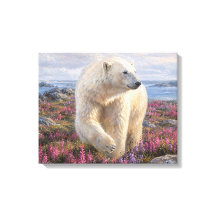 Isbjörn bland vildblommor Arktisk tundra