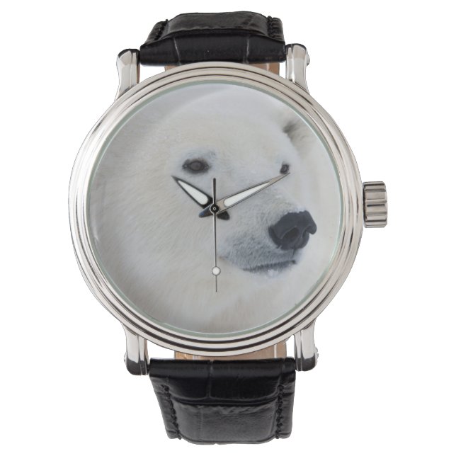 Isbjörn Churchill Armbandsur (Framsida)