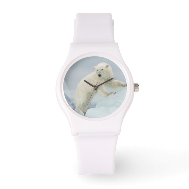 Isbjörn på sommaren armbandsur (Framsida)