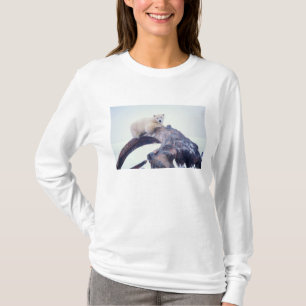 Isbjörn på toppen av en grönlandsval käke, t shirt