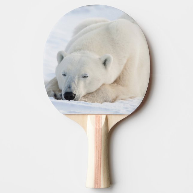 Isbjörn på vintern pingisracket (Framsidan)