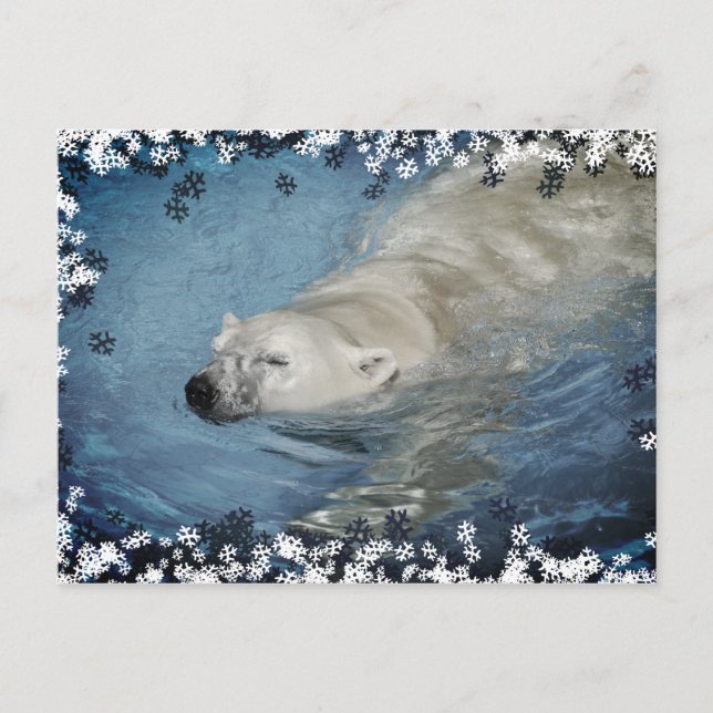 Isbjörn simmar vykort (Framsida)
