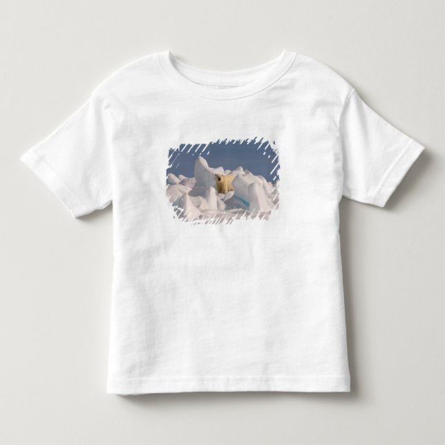 isbjörn, Ursus maritimus, i ojämn is Tee Shirt (Framsida)