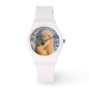 isbjörn, Ursus maritimus, isbjörn på is Armbandsur