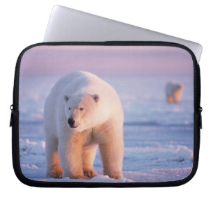 isbjörn, Ursus maritimus Laptop Sleeve