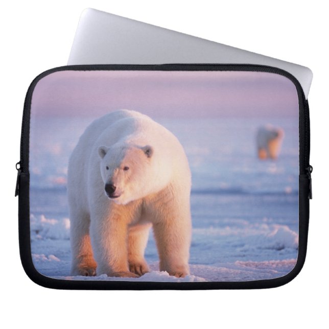 isbjörn, Ursus maritimus Laptop Sleeve (Framsidan)