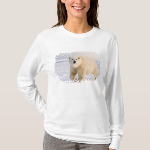 isbjörn, Ursus maritimus, på is och snö, 2 Tee Shirt