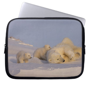 isbjörn, Ursus maritimus, sugga leker Laptop Sleeve