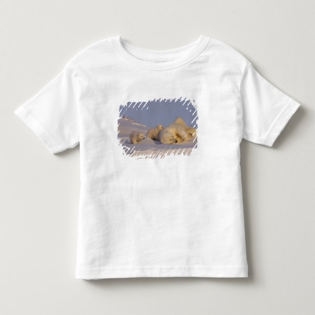 isbjörn, Ursus maritimus, sugga leker Tee Shirt (Framsida)