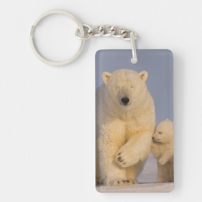 isbjörn, Ursus maritimus, sugga med nyfödd (Framsidan)