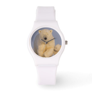 isbjörn, Ursus maritimus, sugga med nyfödd Armbandsur