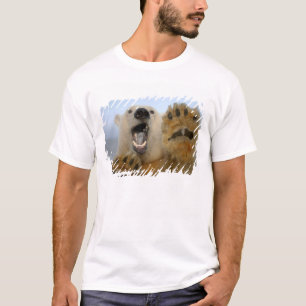 isbjörn, Ursus maritimus, tittar nyfiket T Shirt