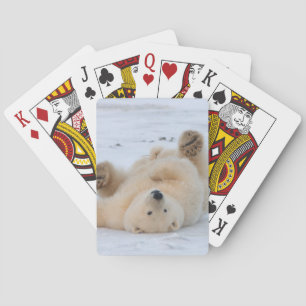 isbjörn, Ursus maritimus, unge rullar 3 Casinokort
