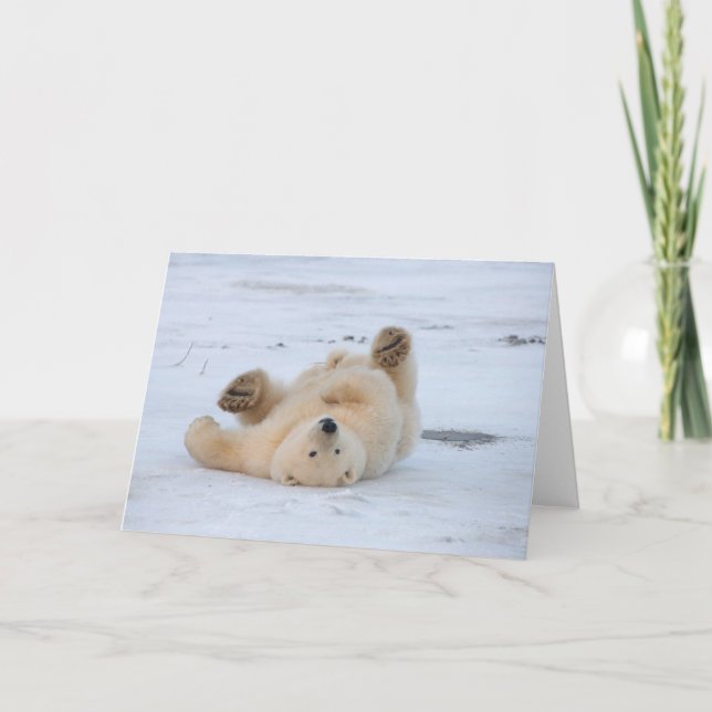 isbjörn, Ursus maritimus, unge rullar 3 Kort (Framsida)