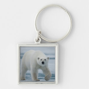 Isbjörn, Ursus Maritimus, vuxen Fyrkantig Silverfärgad Nyckelring