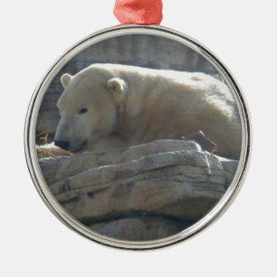 Isbjörn Wildlife Premium Rund Juldekoration