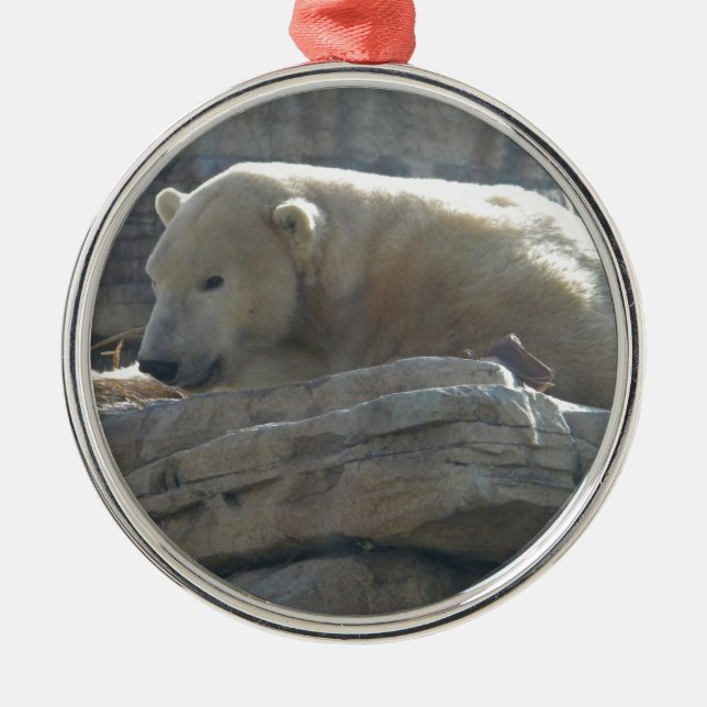 Isbjörn Wildlife Premium Rund Juldekoration (Framsidan)