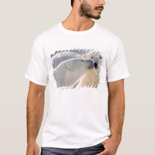 Isbjörns kyss tee