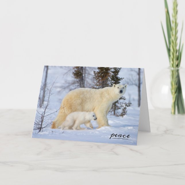 Isbjörnsmamma och unge på tundran helgkort (Framsida)