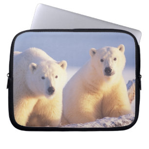 Isbjörnsmoder med unge på packis laptop sleeve